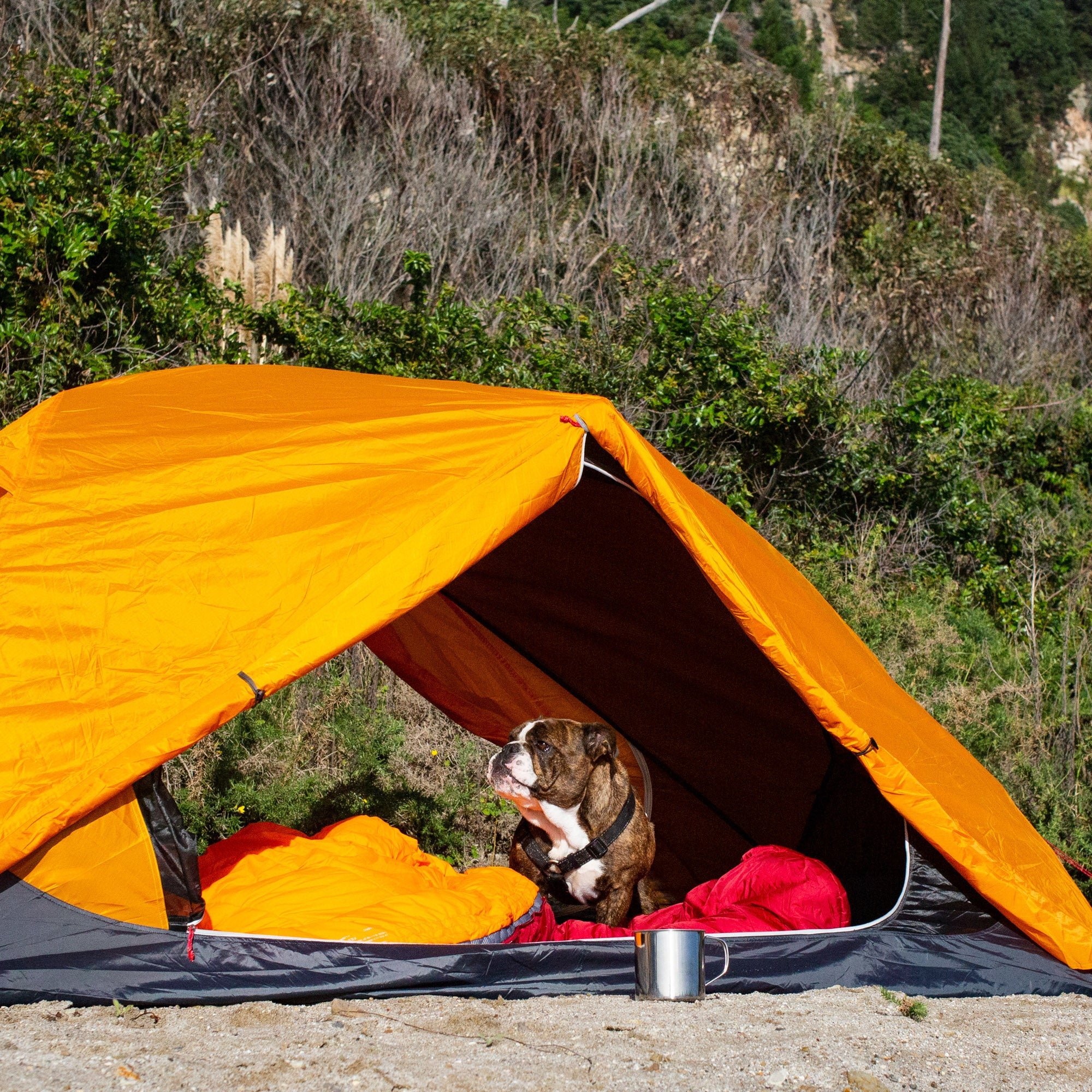 Zeus 2 Person Adventure Tent | Lightweight Hiking Tent – Zempire CA